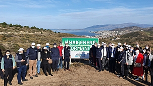 LİMAK ENERJİ, BALIKESİR’İ AĞAÇLANDIRACAK