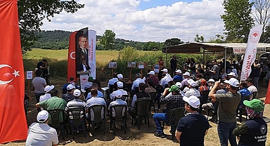 "KANOLA EKELİM, YAĞ OLSUN, BAL OLSUN"
