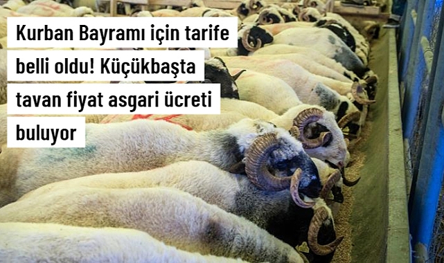 Kurban Bayramı için tarife belli oldu! Küçükbaşta tavan fiyat asgari ücreti buluyor