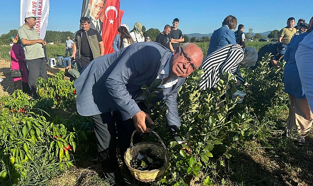 BAŞKAN ABDULLAH DENİZ, ARONYA MEYVESİ İLK HASAT ŞENLİĞİNE KATILDI.