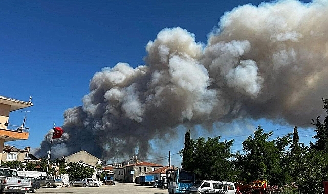 Çanakkale Şehitlik Bölgesinde Orman Yangını!
