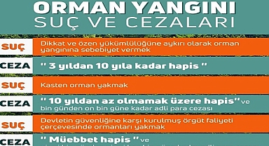 "Orman Yangını Suç ve Cezaları"