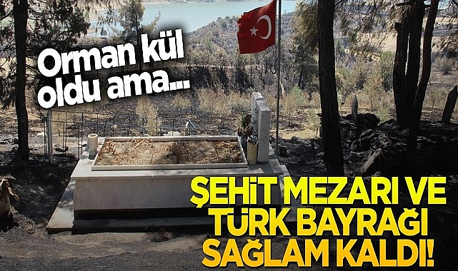 Manisa- Gördes Yangınında Orman kül oldu, şehit mezarı ve Türk bayrağına hiçbir şey olmadı!