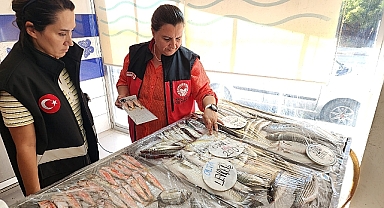 Çanakkale’de Balıkçılık ve Su Ürünleri Sıkı Denetim.