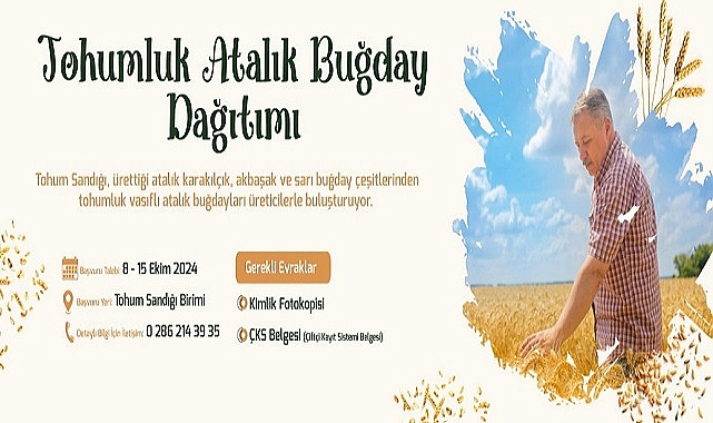 Tohumluk Atalık Buğday Dağıtımı Başlıyor…