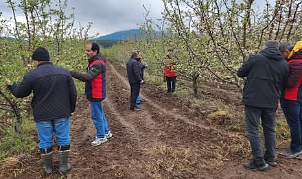 Çanakkale'de Zirai Don Hasar Tespit Çalışmaları Sürüyor