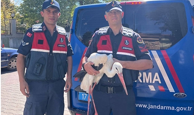 “Jandarma, Bayramiç’te Yaralı Leyleğe Umut Oldu”