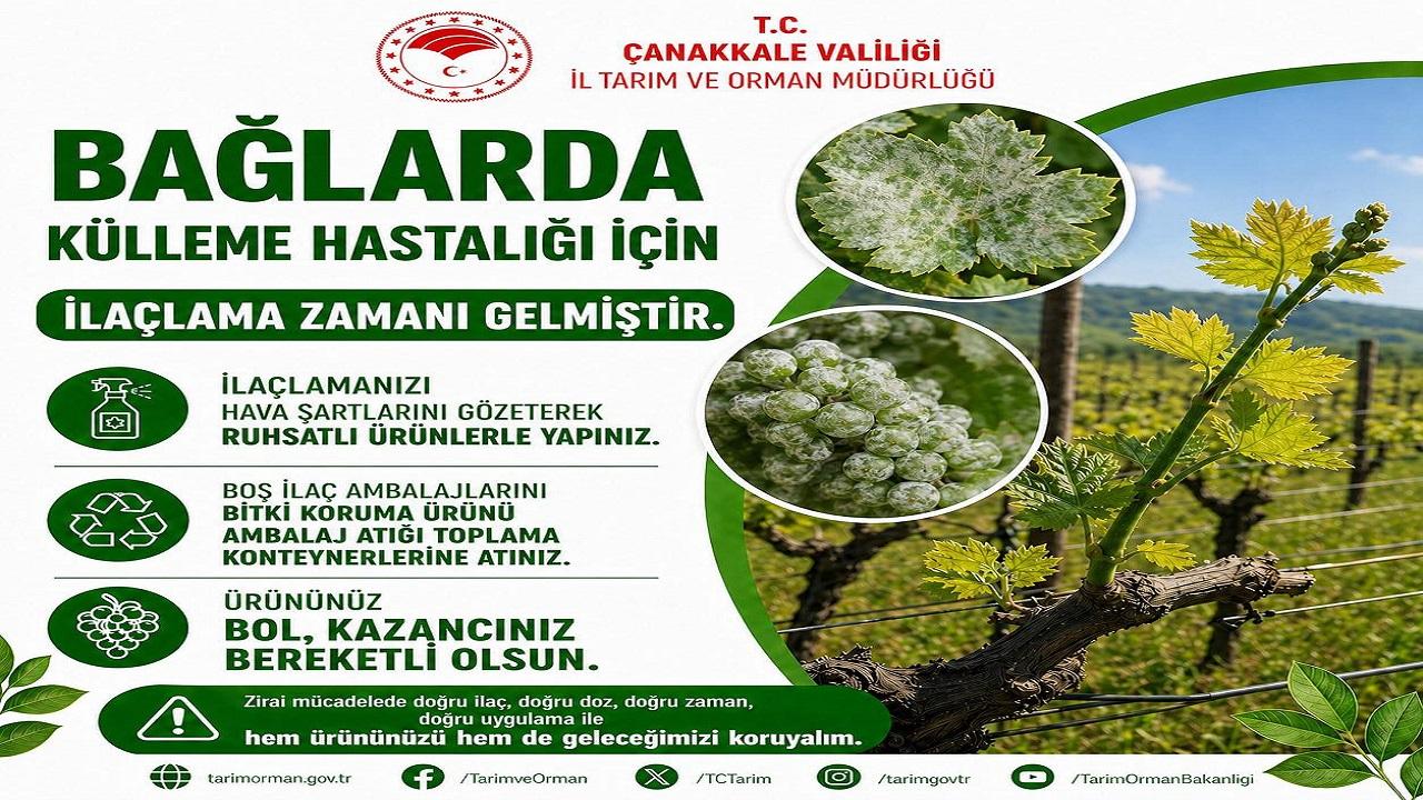 Bağlarda Küllemeye Karşı Üreticilere Düzenli Kontrol ve Zamanında Mücadele Uyarısı