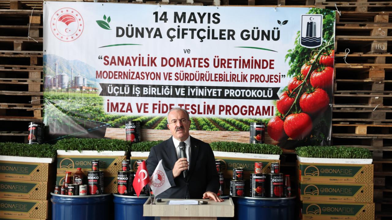 Çanakkale’de Sanayilik Domates Üretimine Güçlü Destek