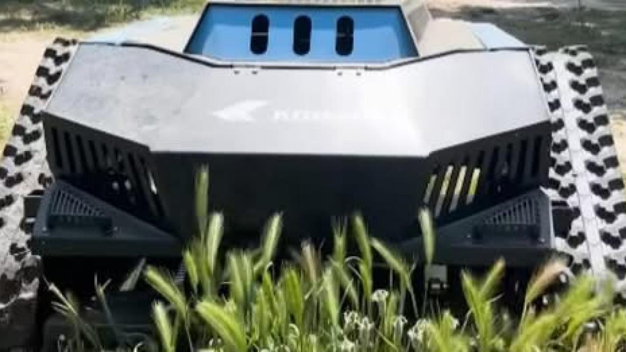 Otomatik Taslak