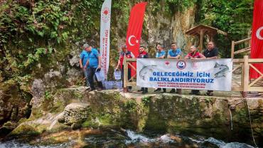 Bayramiç Ayazma Deresi'ne 50 Bin Kırmızı Benekli Alabalık Yavrusu Bırakıldı