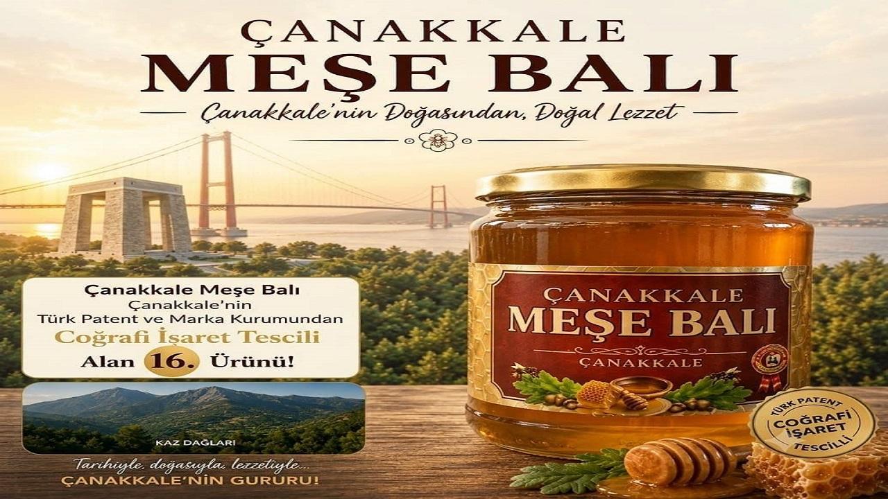 Çanakkale Meşe Balı, Coğrafi İşaret Tescili Aldı: İlin 16. Tescilli Ürünü Oldu