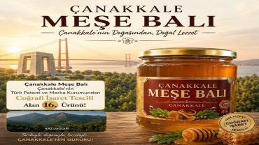 Çanakkale Meşe Balı, Coğrafi İşaret Tescili Aldı: İlin 16. Tescilli Ürünü Oldu