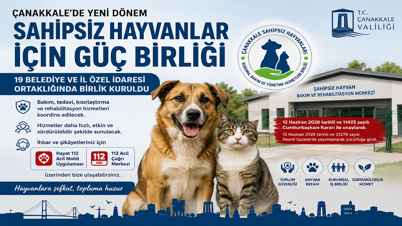 Çanakkale’de Sahipsiz Hayvanlar İçin Yeni Dönem: 19 Belediyenin Katılımıyla Birlik Kuruldu