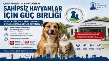 Çanakkale’de Sahipsiz Hayvanlar İçin Yeni Dönem: 19 Belediyenin Katılımıyla Birlik Kuruldu