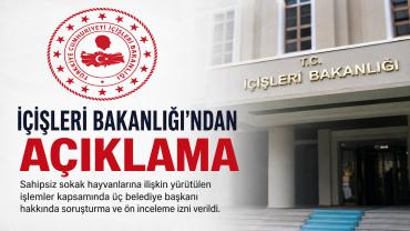 İçişleri Bakanlığı'ndan Sahipsiz Sokak Hayvanları Açıklaması: Üç Belediye Başkanı Hakkında İşlem Başlatıldı