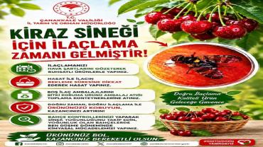 Kiraz Sineğine Karşı Üreticilere Kritik Uyarı